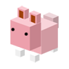 dudaodeveloper