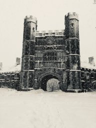 christielaurenn