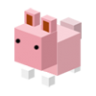 dudaodeveloper