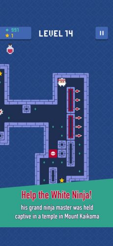 Ninja Temple 4