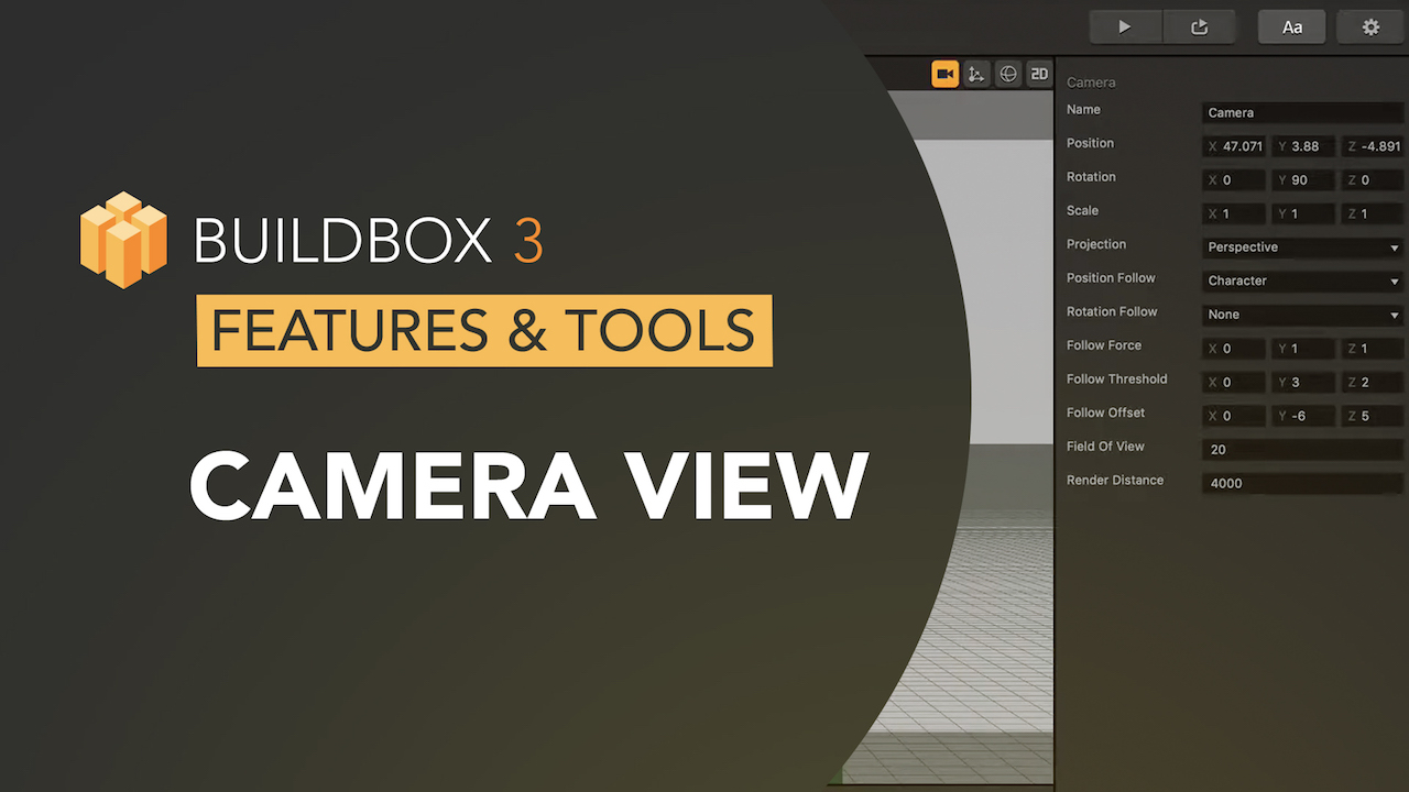 Camera View